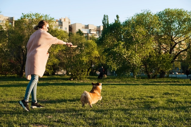 그녀의 웨일즈 어 Corgi Pembroke 강아지, 미소와 행복 놀고 웃는 소녀. 귀여운 강아지 공원에서 막대기로 연주.