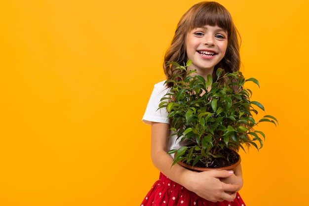 Smiling girl with flower in pot on orange isolated