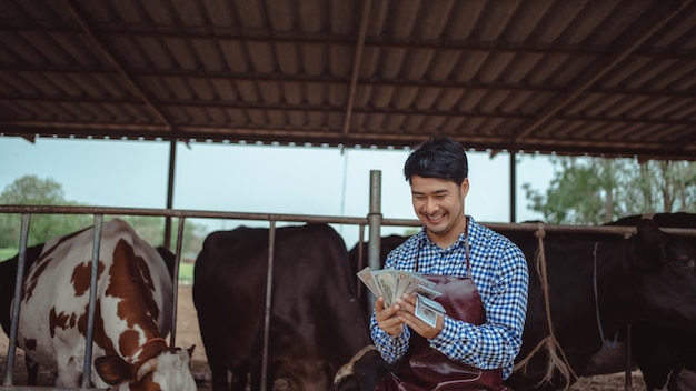 Smiling and happy farmers get income from the dairy farm Agriculture industry farming and animal husbandry concept Cow on dairy farm eating hay Cowshed