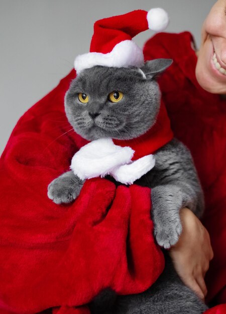 웃고 있는 행복한 여성은 산타 크리스마스 모자를 쓴 귀여운 영국 쇼트헤어 고양이를 껴안고 집에서 애완동물과 즐거운 시간을 보내는 크리스마스와 새해 개념