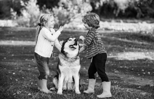 秋のフィールドの背景の上を歩く犬と笑顔の小さな子供たちは愛情を込めて彼のペットを抱きしめます