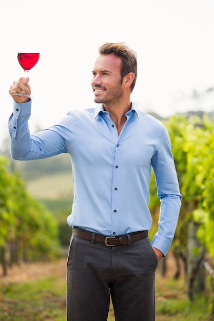 Smiling man looking at wineglass