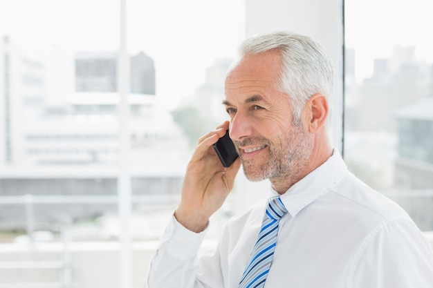 Smiling mature businessman using mobile phone in office