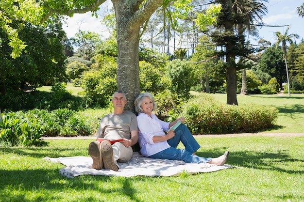 Улыбаясь пожилая пара сидит против дерева в парке