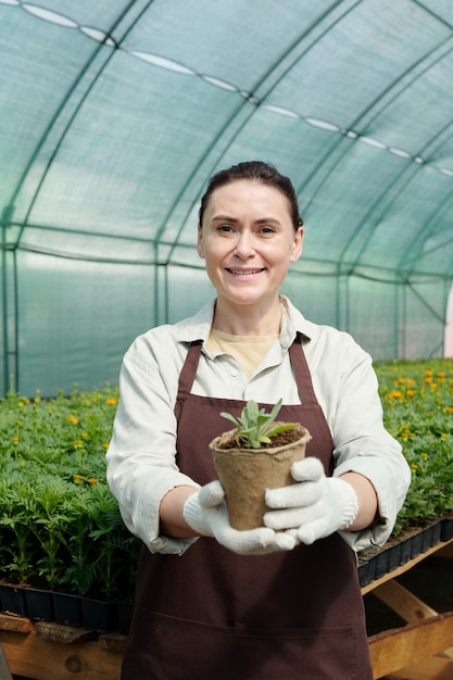 Smiling mature farmer passing you pot with seedling