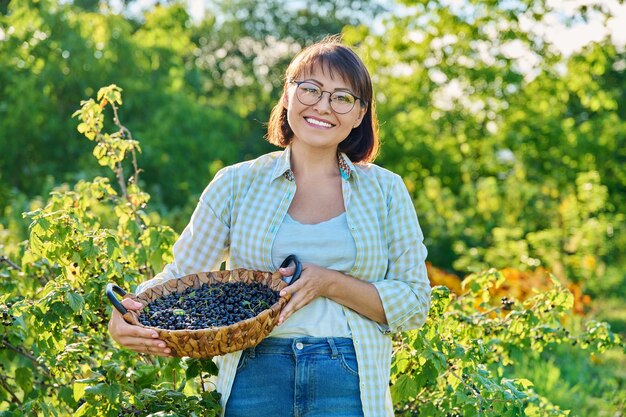 Smiling middle aged woman holding a basket of ripe blackcurrants Harvesting currants in garden Growing healthy organic berries summer season farm farming vitamin food concept