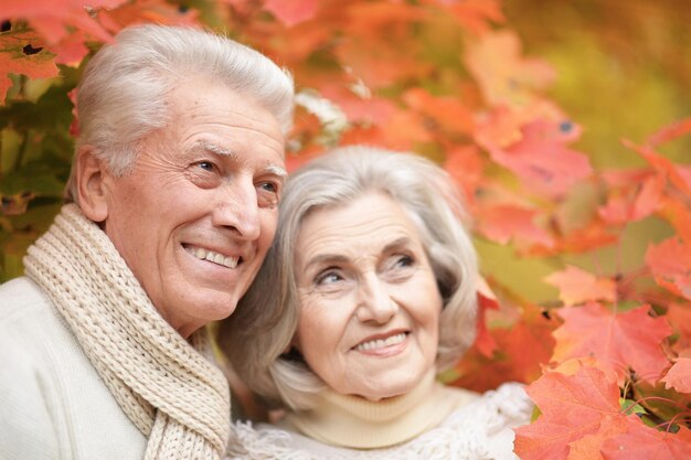 Smiling senior couple posing in the park