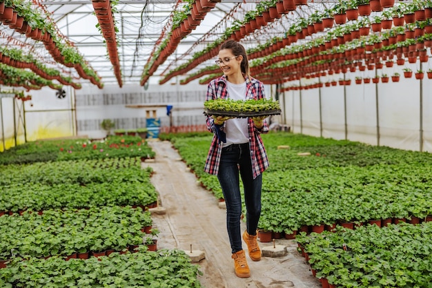 Smiling small business owner walking in greenhouse and holding crate with saplings.