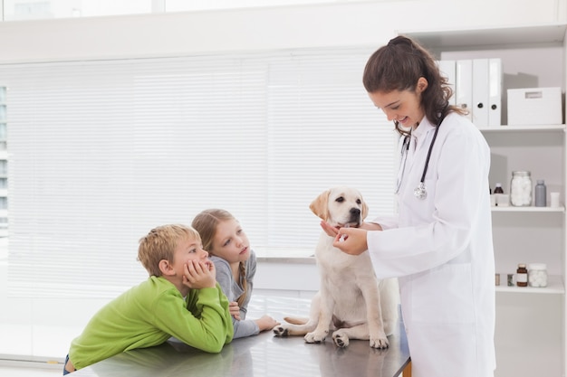 Smiling vet examining a dog with its owners