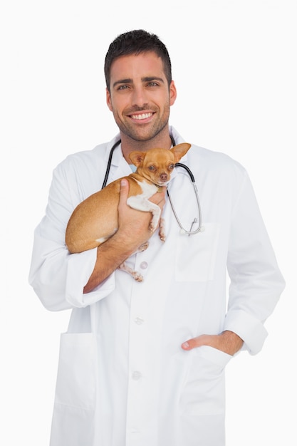 Photo smiling vet holding chihuahua