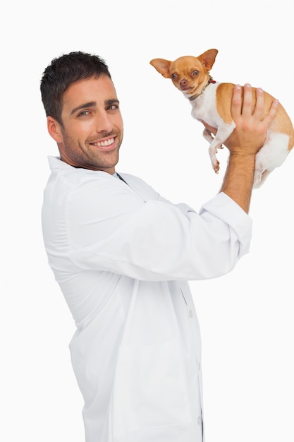 Smiling vet lifting up chihuahua