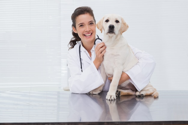 Veterinario sorridente che esamina un cane sveglio