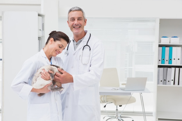 Smiling veterinarians holding cat 