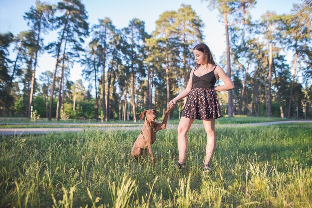 笑顔の女性と公園で賢い美しい犬