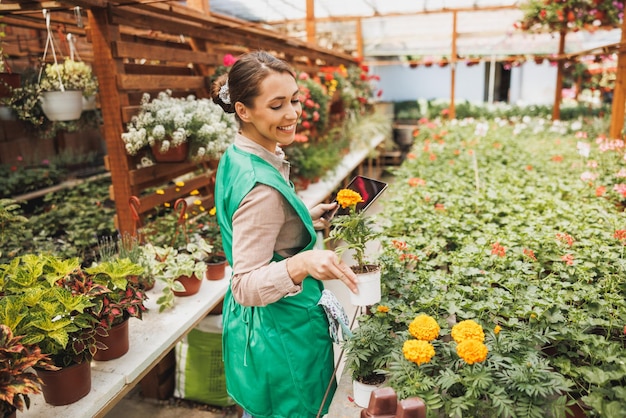 Smiling woman in green apron checking and arranging flower pots in a greenhouse.