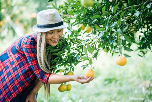 과수원 에서 오렌지 를 수확 하는 미소 짓는 여자
