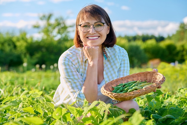 Smiling woman with basket of green beans in garden on sunny summer day Growing natural eco organic healthy vegetables Food horticulture harvesting agriculture concept