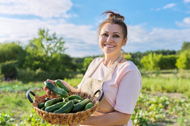 Foto donna sorridente con raccolto di cetrioli in fattoria, giardiniere femminile su orto estivo soleggiato con cesto di cetrioli. hobby, giardinaggio, coltivazione di ortaggi biologici