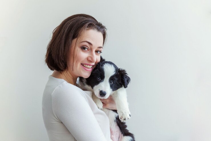 白で隔離かわいい子犬の犬のボーダーコリーを抱きしめて笑顔の若い魅力的な女性