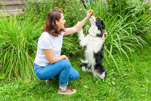 Smiling young attractive woman playing with cute puppy dog border collie in summer garden or city park . Girl training trick with dog friend. Pet care and animals concept.