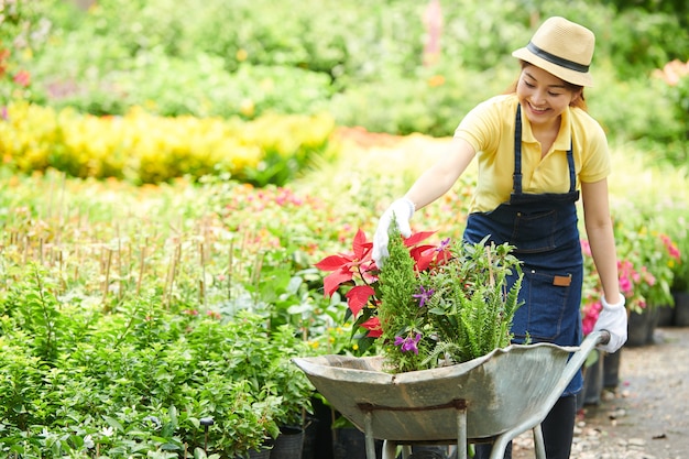 Smiling young plant nursery worker pushing wheelbarrow full of plants