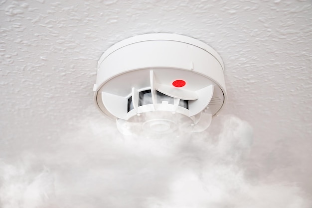 Smoke detector or fire alarm