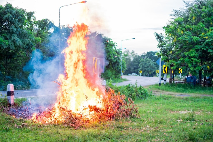 फोटो smoke from burning grass and leaf scraps in rural areas smoke dust problems pm 25 dust global warming problems and abnormal weather conditionsburning grass and leaf scraps near the road