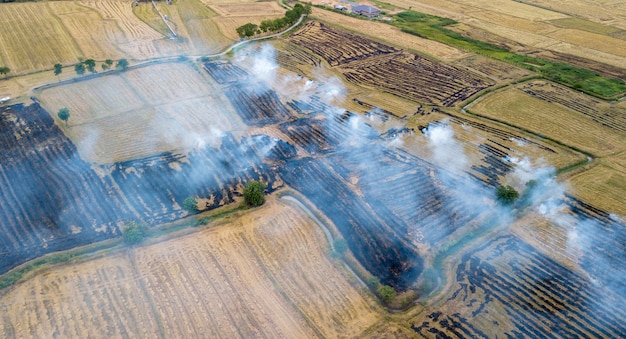 Smoke from burning rice stubble on top view