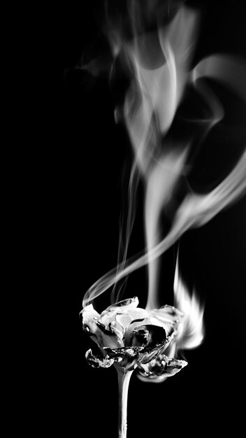 Smoke from a flower in black and white