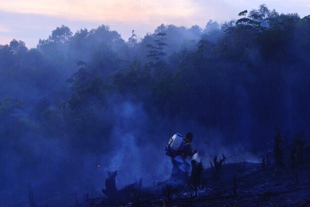 Smoke - physical structure in riau