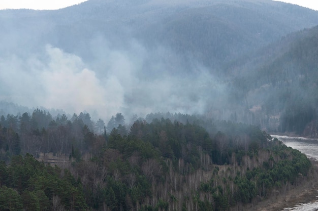 Smoke over the taiga forest a forest fire begins