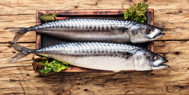 Smoked fish with herb