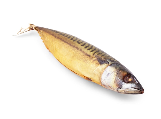 白い背景に分離された頭なしの煙草魚