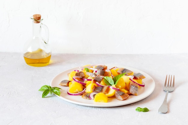 Aringa affumicata, patate e insalata di cipolle rosse su un piatto, concetto di cibo fresco, vista laterale