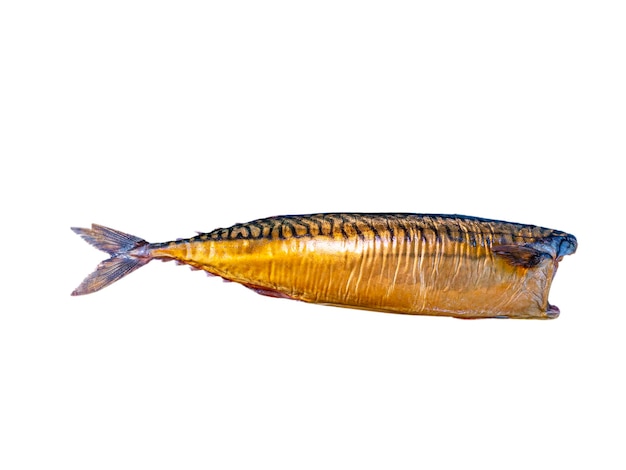 Smoked mackerel fish on a white plate