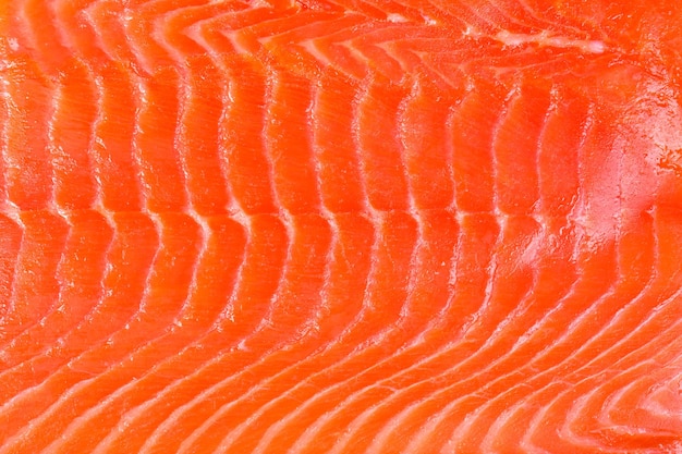 Photo smoked salmon background