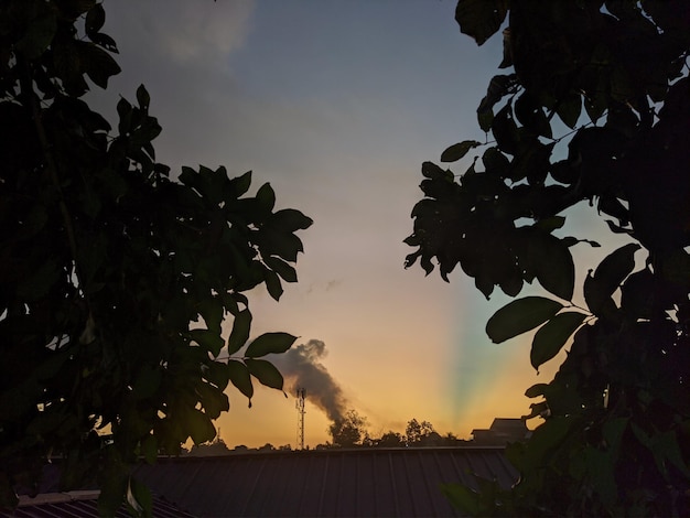 A smokestack is seen through the trees at sunset.