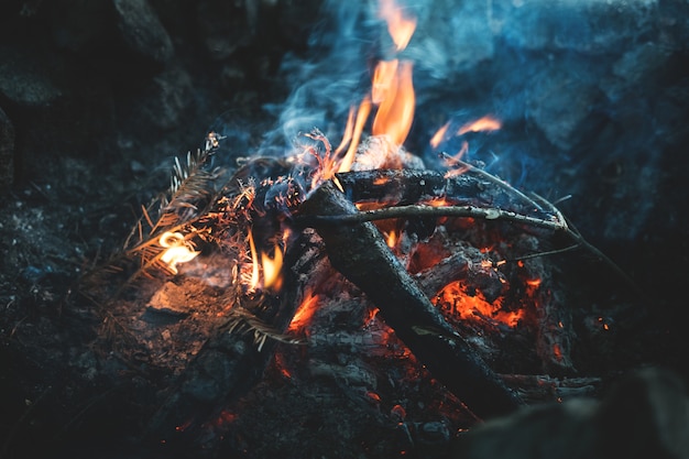 Smoking campfire in the woods in twilight