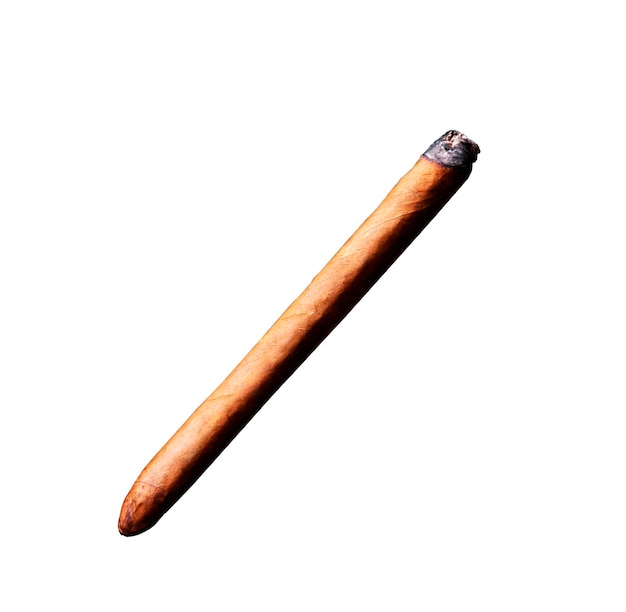 Smoking cigar isolated