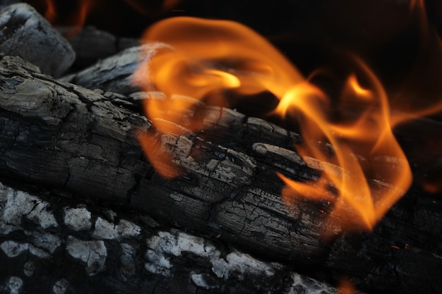 鮮やかな火で燃やされたくすぶった丸太がキャンプファイヤーの炎で大気の背景をクローズアップ