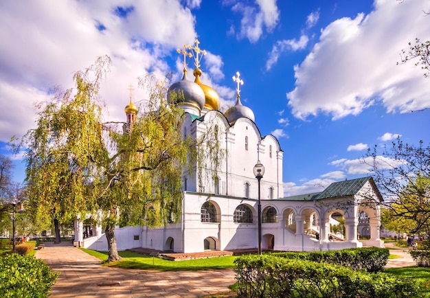 Smolensky-kathedraal Novodevitsji-klooster Moskou