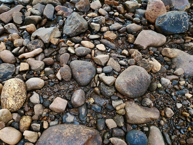 Photo smooth river stone lies in ground near the river beach