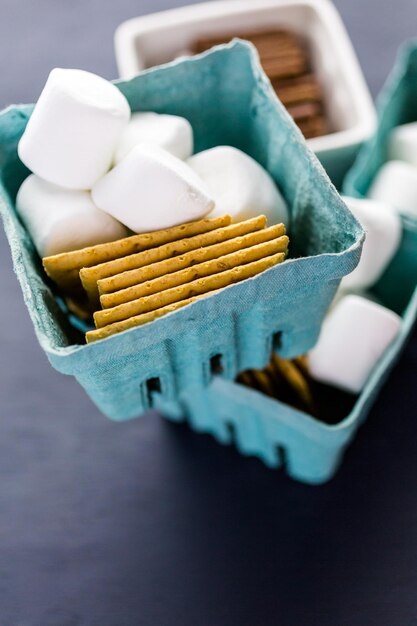 Smores station with large white marshmallows at the party.