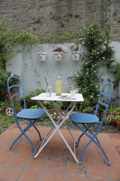 Snack, lemonade and pastry on the table in the rustic garden