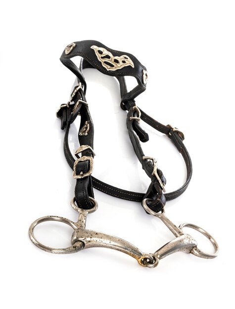 Snaffle bridle in front of white background