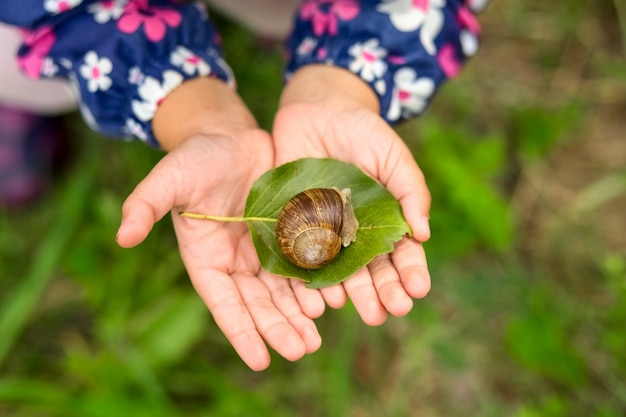 snail in children's hands