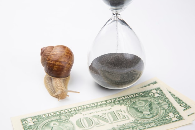 Snail next to the hourglass and dollars on a white background.