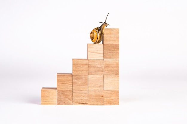 달팽이는 경력 계단을 올라갑니다. 나무 큐브로 만든 사다리입니다. 개인 개발, 경력, 변화, 성공의 개념.