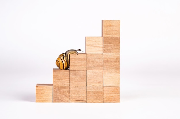 Snail walk up the career stairs Ladder made with wooden cubes Concept of personal development career  changes success