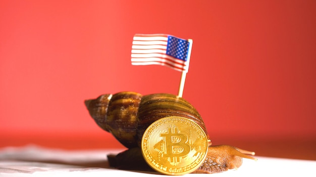 Lumaca con bandiera americana sul retro e moneta bitcoin crypto btc vicino a lei